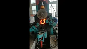 Vertical Ring Rolling Machine