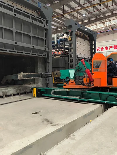 Rail-Bound Forging Manipulator